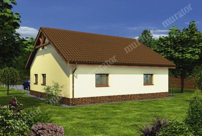 Проект дома Гараж с хозяйственным помещением и чердаком ГЦ44 вид со стороны