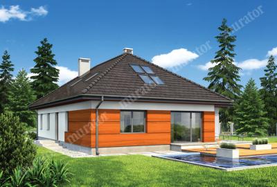 Проект дома Альпийский луг - вариант I М161а Визуализация