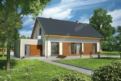 Проект дома Специальный (энергосберегающий) ЭМ156 вид со стороны