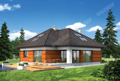 Проект дома Альпийский луг - вариант I М161а вид со стороны