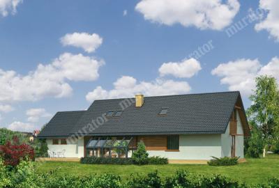 Проект дома Галка альпийская ВМ18 Визуализация