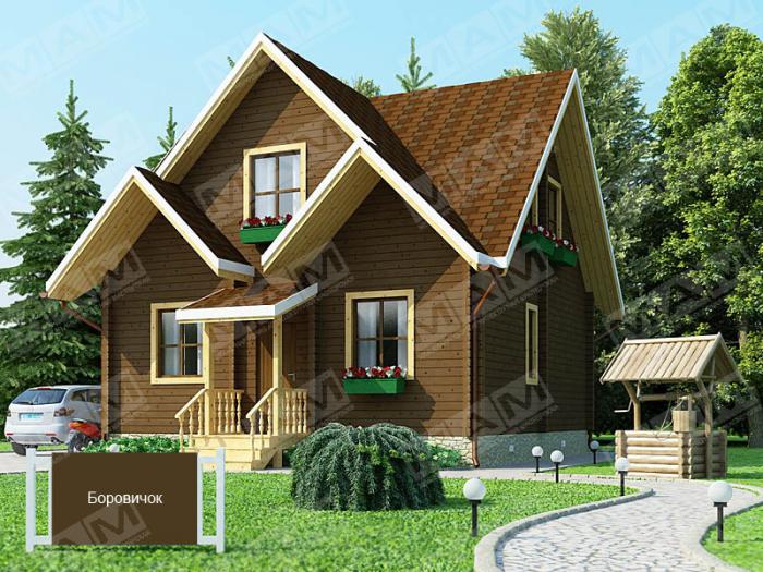 Проект дома Боровичёк  